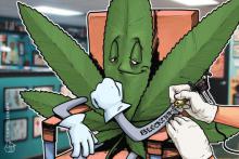 カナダ企業、ブロックチェーン基盤の大麻用サプライチェーン管理プラットフォーム構築