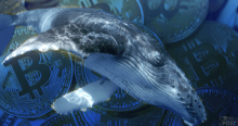 仮想通貨のクジラが「取引所外の売買と新品コイン」を好む理由：最大20%のプレミアムも
