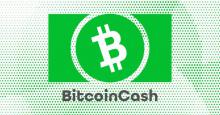 “ビットコインの神”Roger Ver（ロジャー・バー）氏がBCH基軸の仮想通貨取引所を開設！？