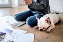 知らないと大損！会社員でも「確定申告で税金が戻る」５つのケースと注意点【2019年版】＝川畑明美
