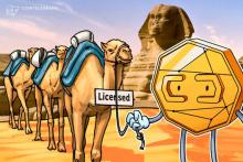 エジプトの仮想通貨関連法案、活動前にライセンス取得を義務付け