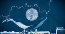 仮想通貨氷河期を経て「クジラ」のビットコイン保有量が急増、計4兆円相当に