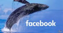 フェイスブック発行予定の仮想通貨グローバルコインに辛口評価｜仮想通貨分析機関Diar
