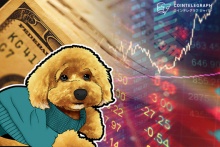 仮想通貨ビットコイン、8000ドルを下回る可能性も 見極めポイントは？