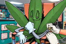 豪州の上場企業、大麻向けブロックチェーン基盤管理システムの特許を米国で申請　化学物質で「マーキング」
