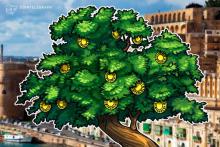 米取引所ビットトレックス：マルタのブロックチェーン企業パラディウムに出資　10％の株式取得